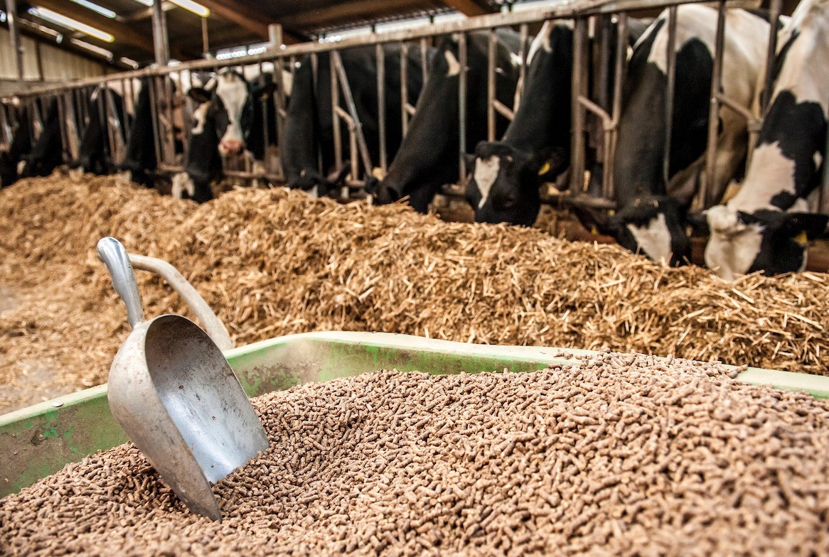 L’inquiétude des fabricants d’aliments du bétail