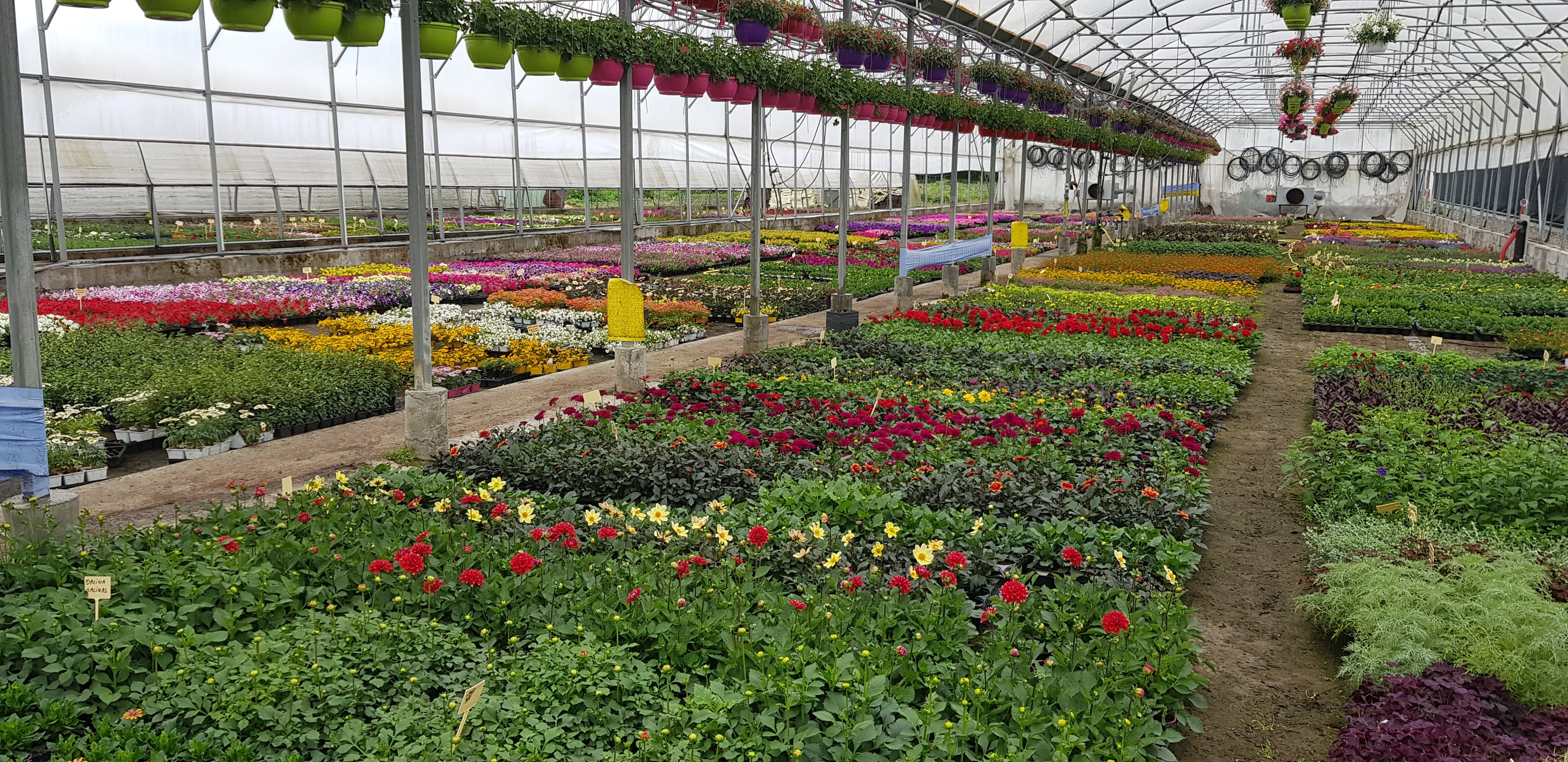 Une filière régionale aujourd’hui en danger