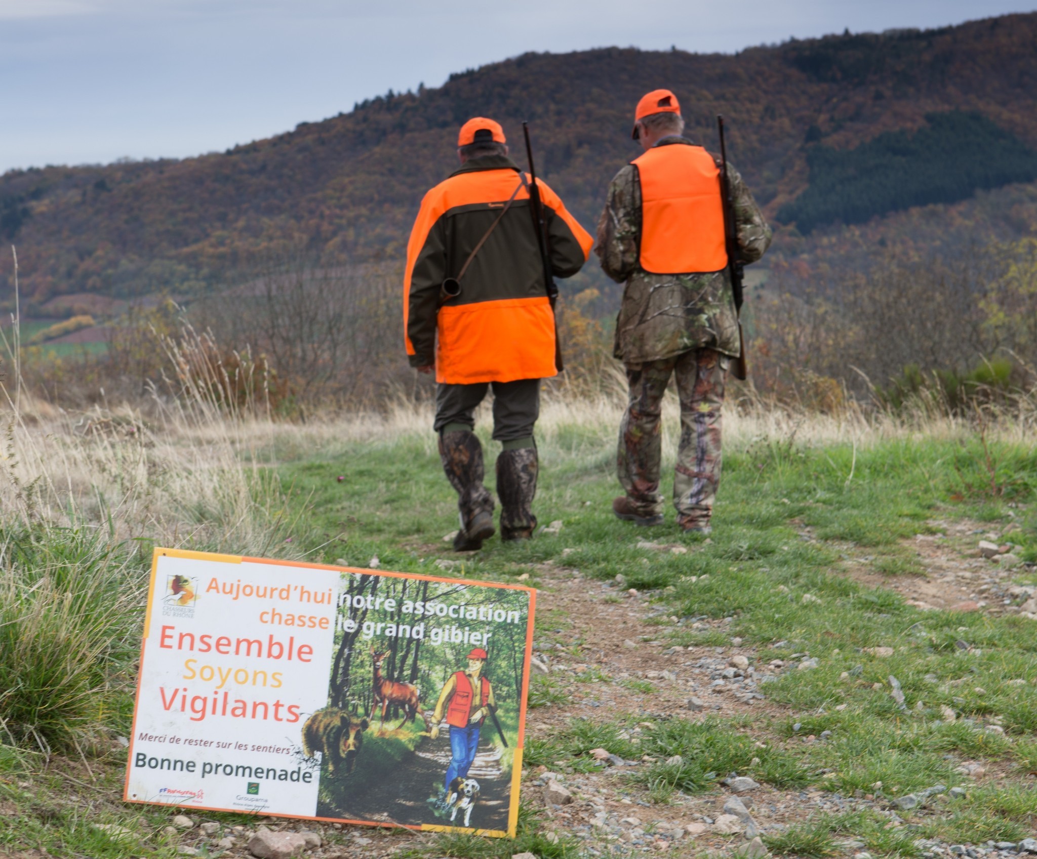 Un « contrat » entre chasseurs et agriculteurs pour réguler les sangliers