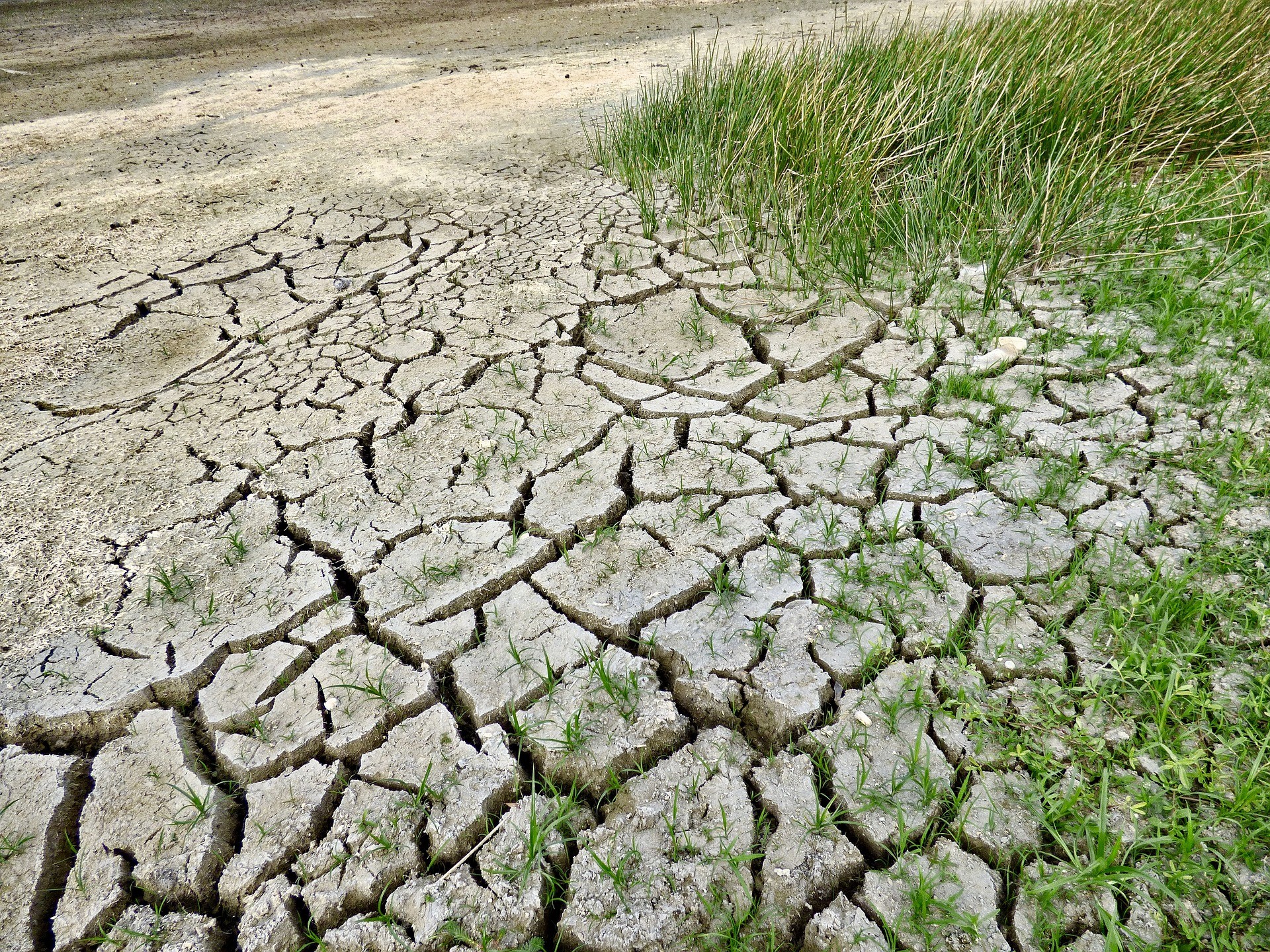 Un changement climatique généralisé, rapide et d’intensité croissante