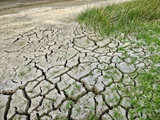 Un changement climatique généralisé, rapide et d’intensité croissante