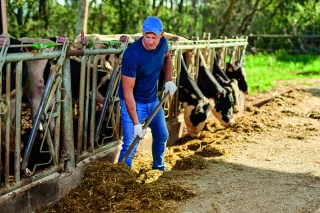 Groupements d’employeurs agricoles : répondre aux besoins de main-d’œuvre 
