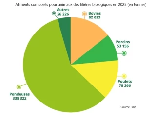 Hausse de la production d’alimentation animale bio