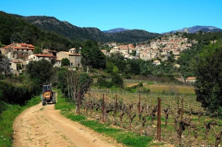 Troubles du voisinage : deux lois sans effet notable