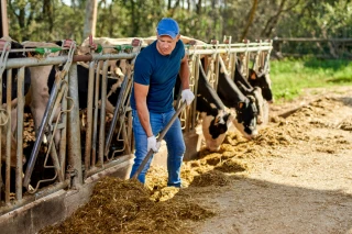 Les patrons agricoles en moins bonne forme mentale que la moyenne