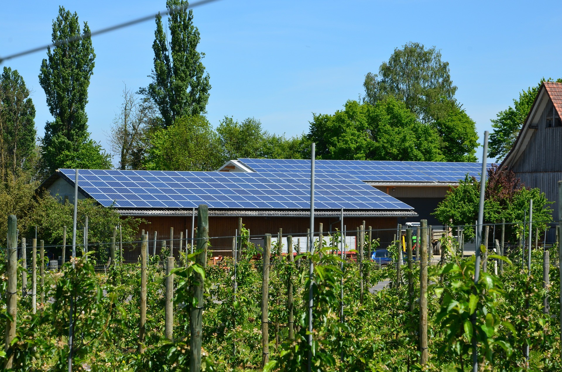 L'APCA et la FNSEA plaident la particularité agricole