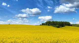 Sortie du phosmet : encore du chemin à parcourir