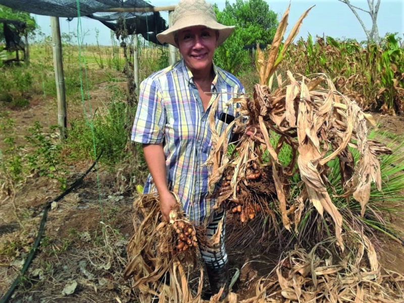 ANALYSE / Des terres fertiles qui ne profitent pas au peuple, les paradoxes de l’agriculture colombienne