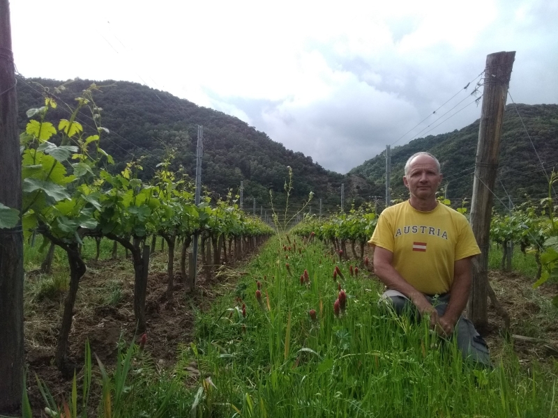 Régis Gonnet, viticulteur et arboriculteur à Glun (Nord-Ardèche)