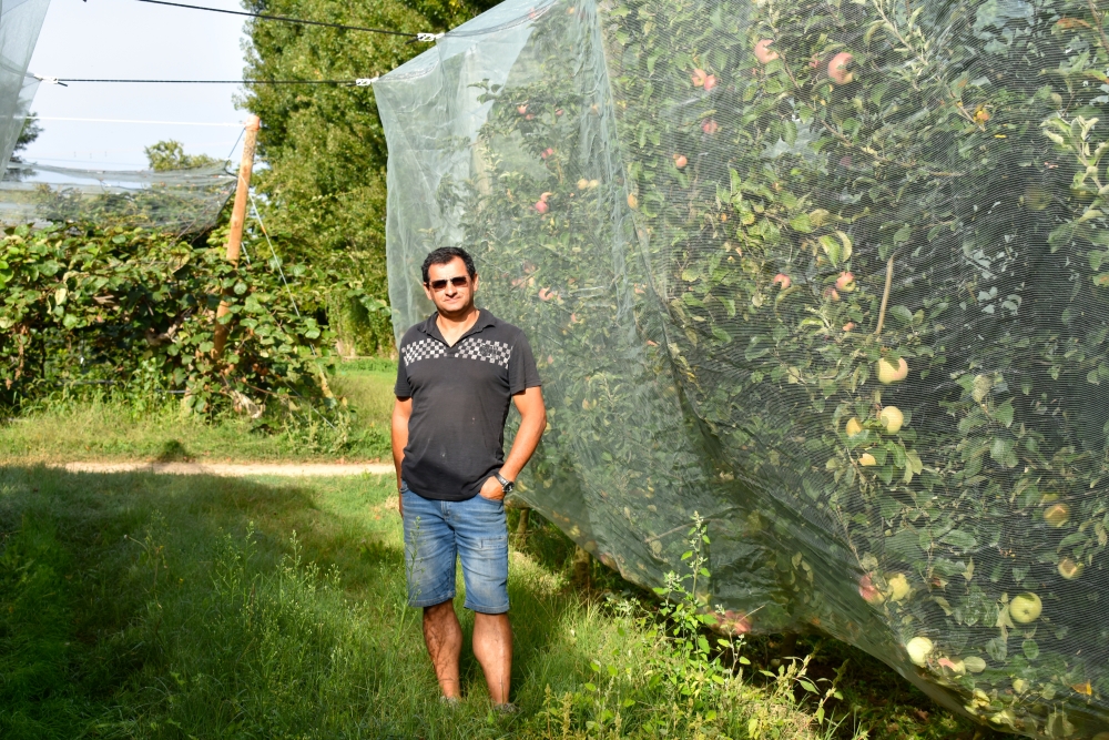 Christophe Guigue cultive 19 ha de pommes en agriculture biologique, à Saint-Just-d'Ardèche.