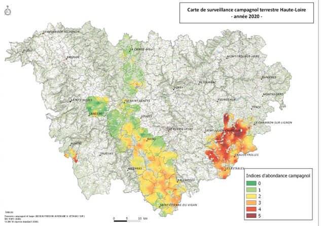 Carte de surveillance du campagnol terrestre en Haute-Loire