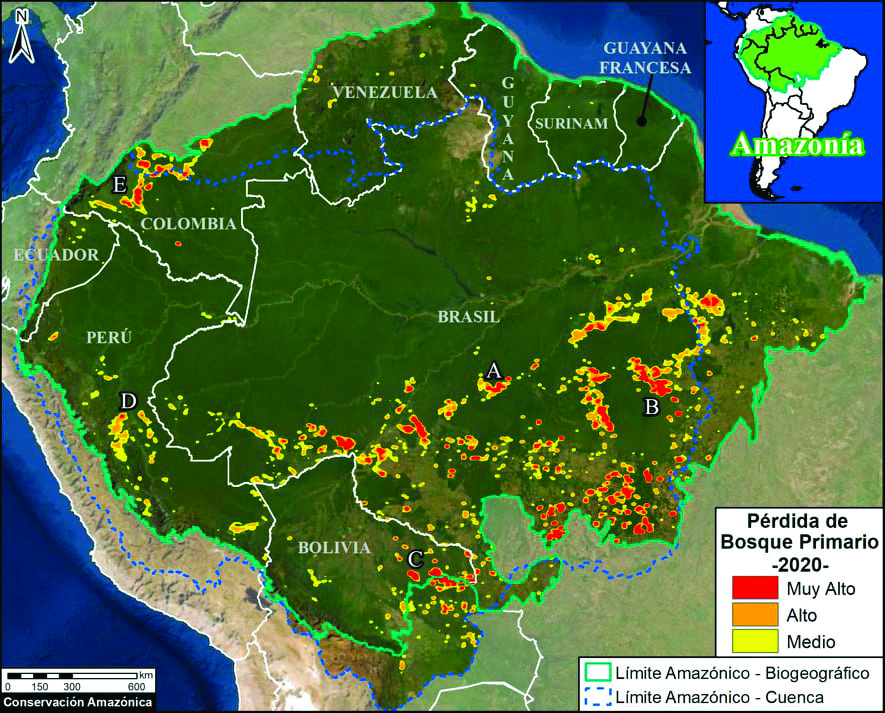 Perte de forêt amazonienne en 2020