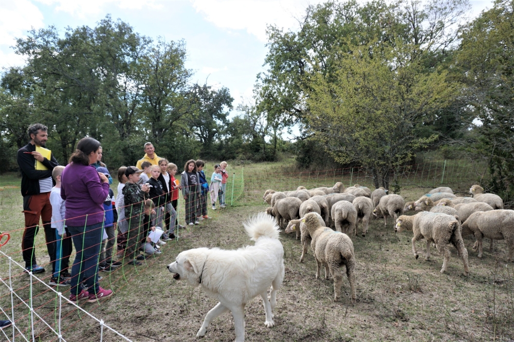 Depuis deux ans, 470 élèves ont pu visiter des fermes du Coiron dans le cadre du PPT