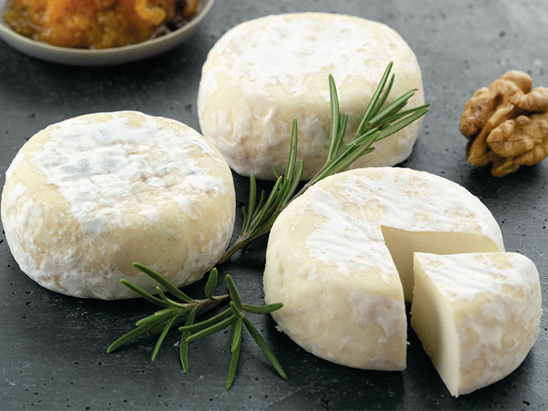 Picodon, fromage ancré dans son terroir et ses traditions