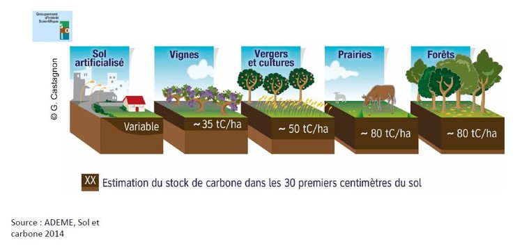 L'agriculture est la seule activité capable de compenser une partie de ses émissions de CO2 par du stockage de carbone. Source : Ademe