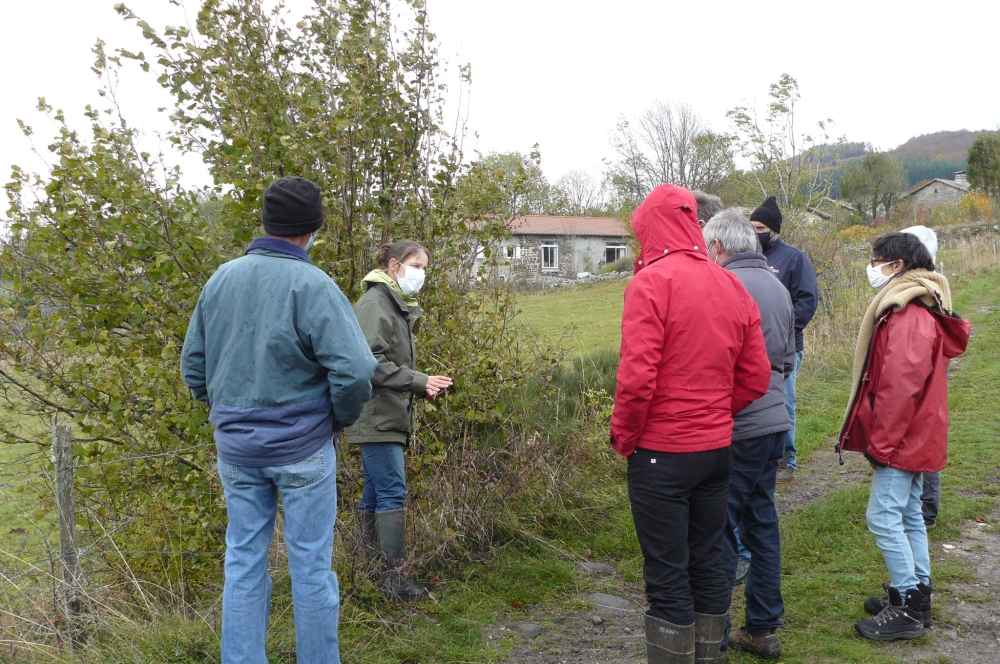 Plusieurs éleveurs de la Montagne ardéchoise ont participé à une formation Agroforesterie le 22 octobre à Coucouron.