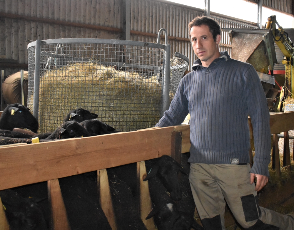 Mathieu Ladreyt élève un troupeau de 200 brebis Noires du Velay à Berzème.